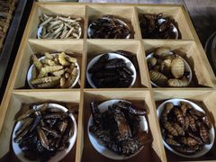 -昆虫窝子·特色云南菜(拓东路总店)
