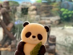-杭州动物园