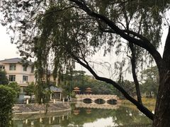 -顺峰山公园