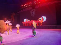 -中国马镇舞马世界主题乐园