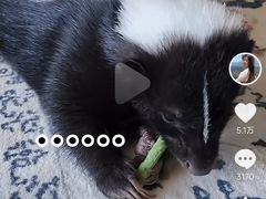 -纳鲁孜·新疆特色餐厅(上海悦荟广场店)