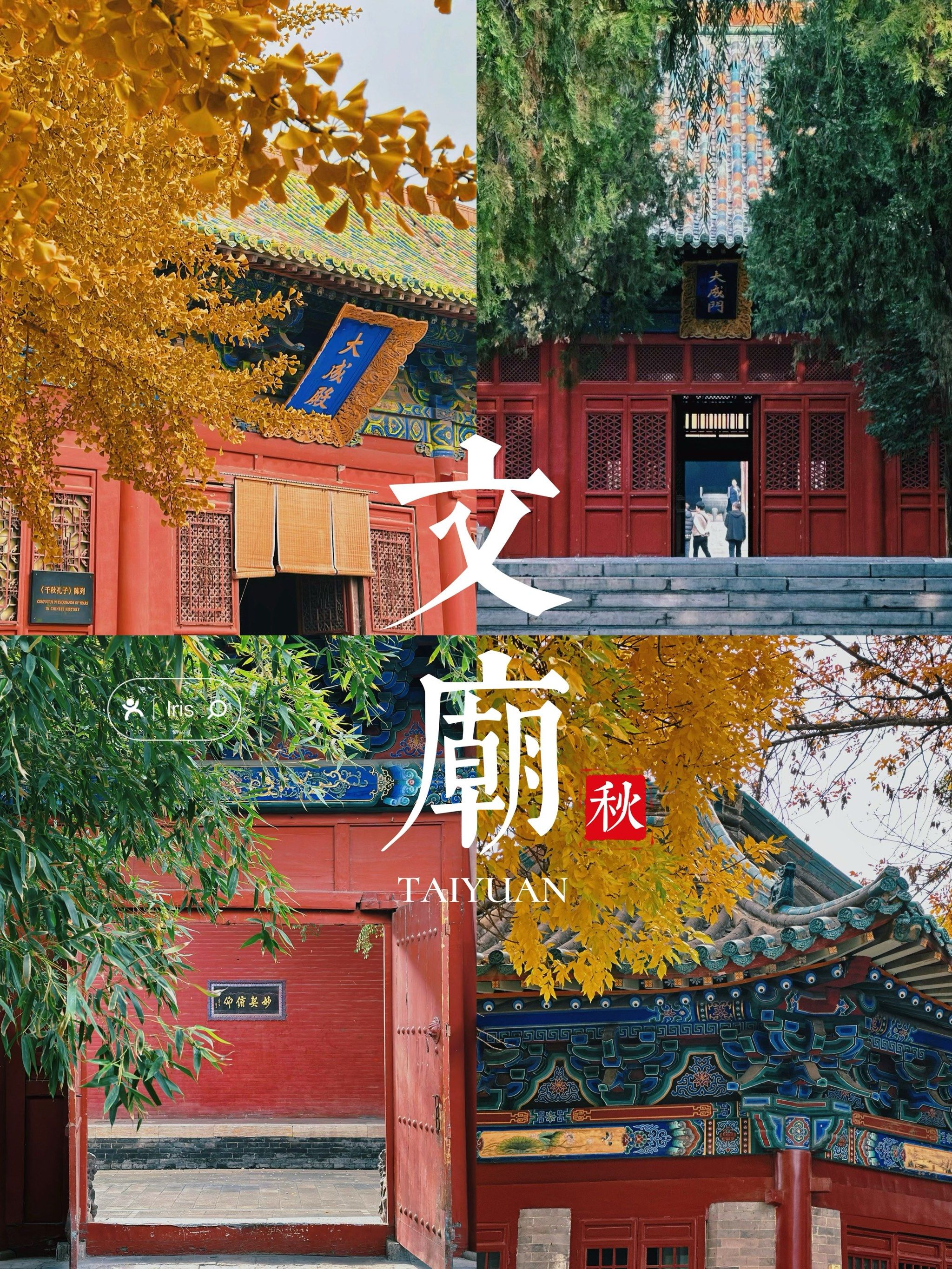 太原文庙|在这里邂逅绝美秋景94