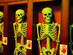 -MJ魔爵全机关真人密室逃脱(青浦万达茂店)