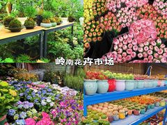 -南泰百货批发市场