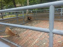 -长白岛森林公园