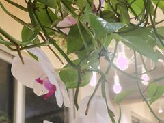 -花二家·生活馆(六运小区店)