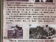 -柘林湖生态鱼馆