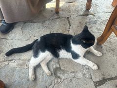 -环秀楼(黄山呈坎店)