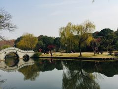 -镇江市南山风景名胜区竹林景区