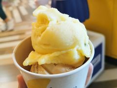 芒果百香果雪葩-LUNEURS月乐诗·法式冰淇淋(环贸店)