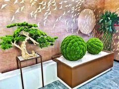 -碧丽宫大酒店(召稼楼店)