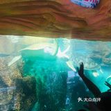 文化之洛带