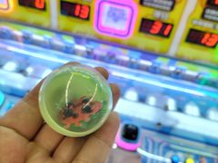 -萌太极儿童成长乐园(即墨宝龙广场店)