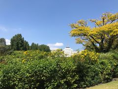 -新加坡总统府