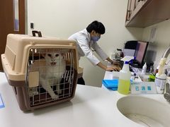 -美联众合动物医院·24h转诊中心