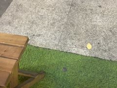 -亲爱的蜂蜜茶