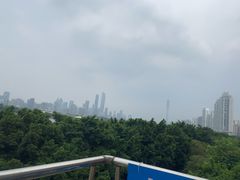 -黄金海岸水上乐园