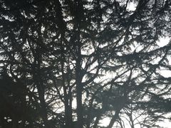 -贮水山儿童公园