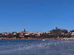 -青岛第二海水浴场