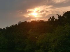 -海珠湖公园
