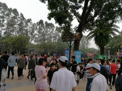 -珠江夜游广州塔·中大码头