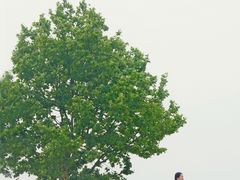-钟山体育运动公园