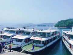 -千岛湖东南湖区