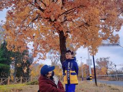 -北京龙庆四季香农家饭庄·灶台鱼·碳烤虹鳟鱼(龙庆峡店)