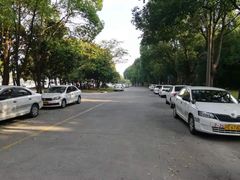 -胜华驾校·小猫学车(银都店)