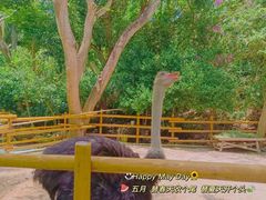-三亚蜈支洲岛旅游区
