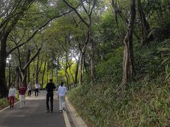 -广州雕塑公园