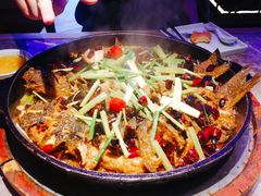 -老板恋上鱼(恒隆广场店)