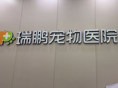 -瑞鹏宠物医院华南总院·夜诊·心脏科·骨科
