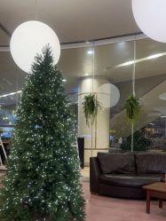 -西瓜庄园儿童摄影