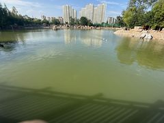 -青藏高原野生动物园