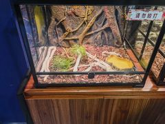 -秦皇岛新澳海底世界