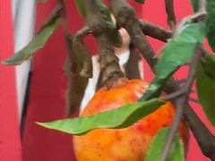 -海马体照相馆(深圳万象天地店)