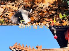 -高旻寺