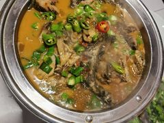 -全乐鱼馆·淳牌有机鱼直营店