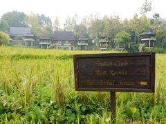 456-清迈四季酒店