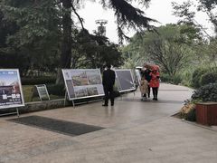 入口处-解放公园