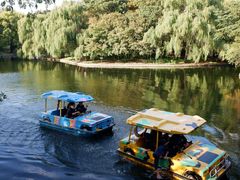 -上海共青森林公园