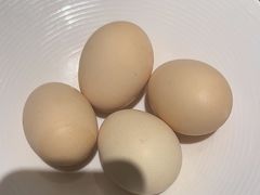 -燕郊烧鸽子(酷车小镇店)