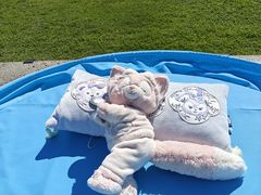 -海南清水湾莱佛士酒店