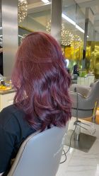-潘多拉Hairsalon
