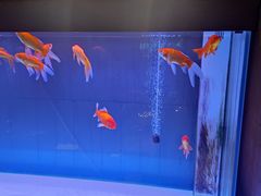 -国人川菜(李家村建东街店)