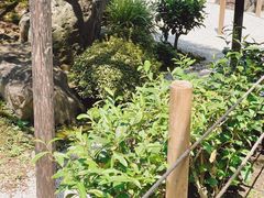 -中村藤吉(本店)