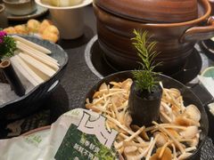 -季季山·云南野生菌火锅(上海首店)