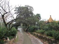 -雨花胜境