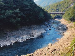 -岚山嵯峨野观光小火车